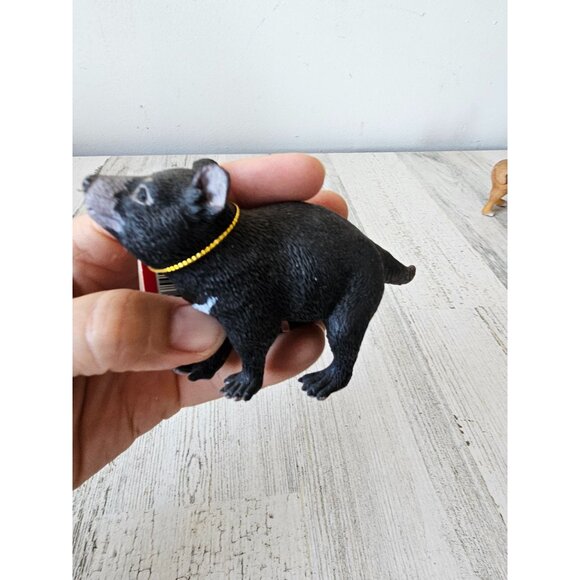 Tasmanian devil toy figurine science nature LTD figure - Picture 3 of 7